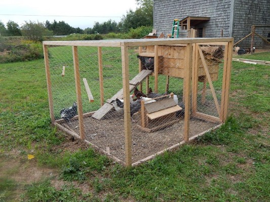 Chicken Coops &amp; Pens